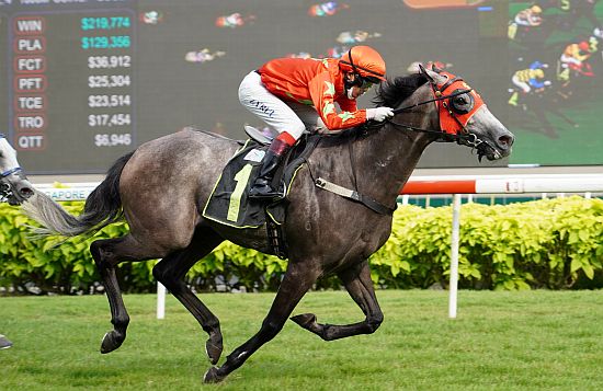 Singapore Turf Club Racing Portal Singapore Turf Club Horse Racing