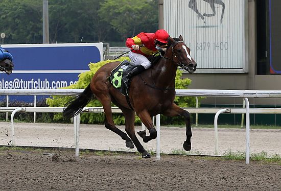 Singapore Turf Club Racing Portal Singapore Turf Club Horse Racing