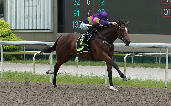 Street Of Dreams (Bernardo Pinheiro) cruises home an easy maiden winner on 2 October 2022.