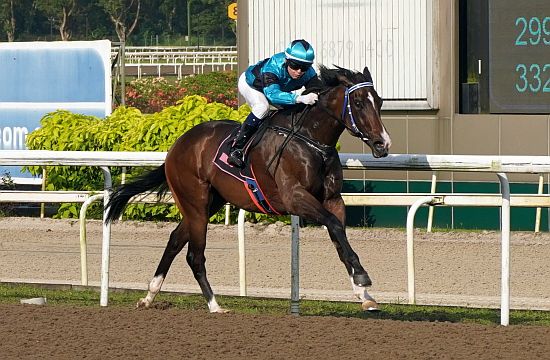 Lord's Command (Manoel Nunes) is seeking back-to-back wins on Saturday.