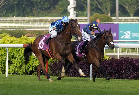 Lim's Kosciuszko (Marc Lerner) on the inside, beating Dream Alliance's (Bruno Queiroz) feisty assault to claim the Group 1 Singapore Gold Cup (2000m) by a short head.