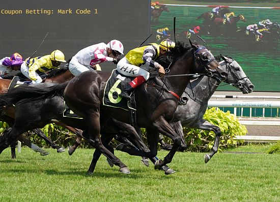 Singapore Turf Club - Racing Portal